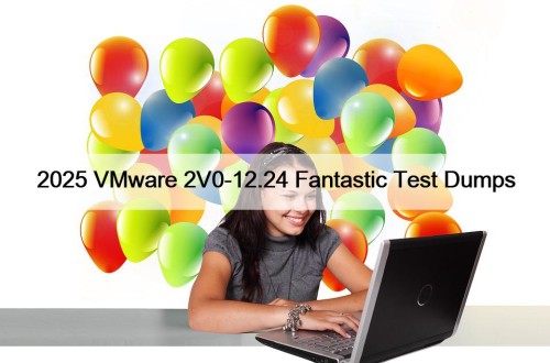 2025 VMware 2V0-12.24 Fantastic Test Dumps